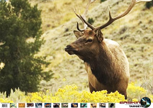 elk2 target